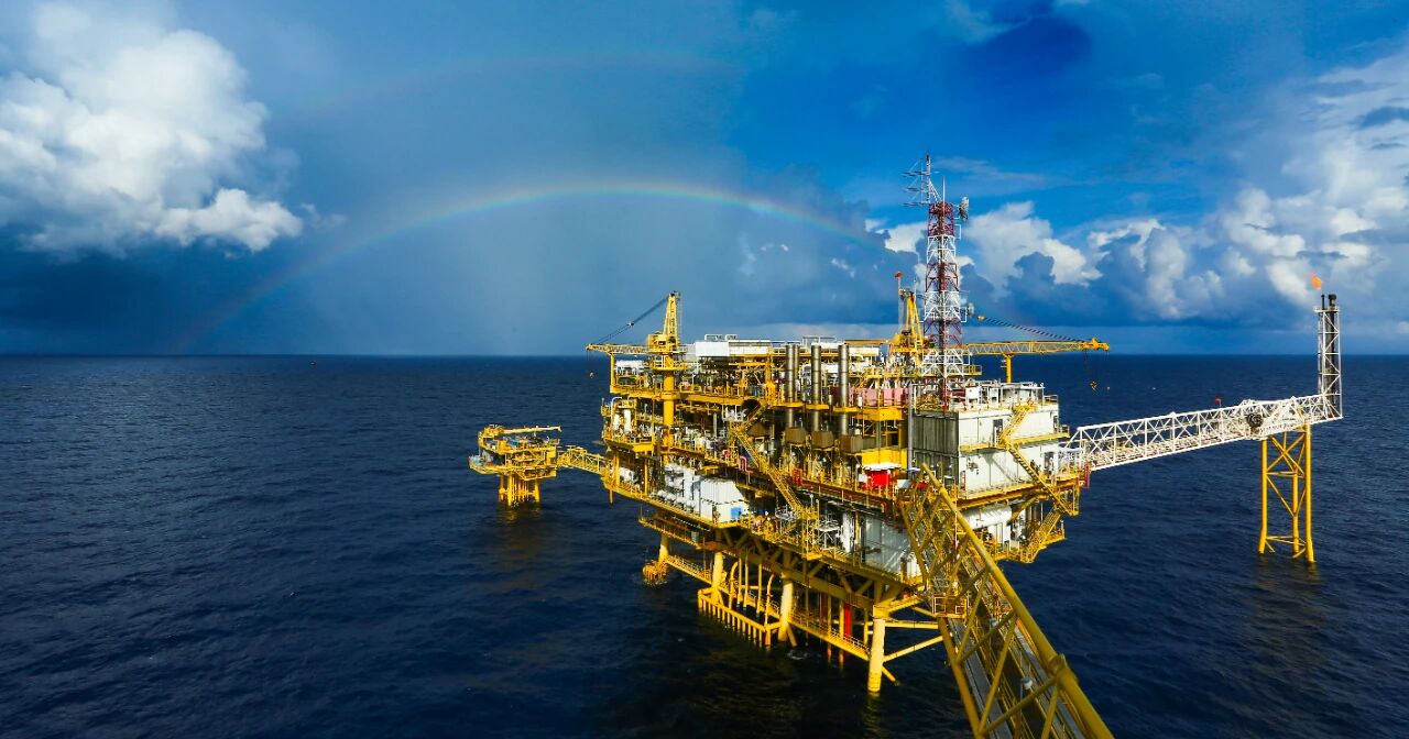 2025�����������ҵʮ������